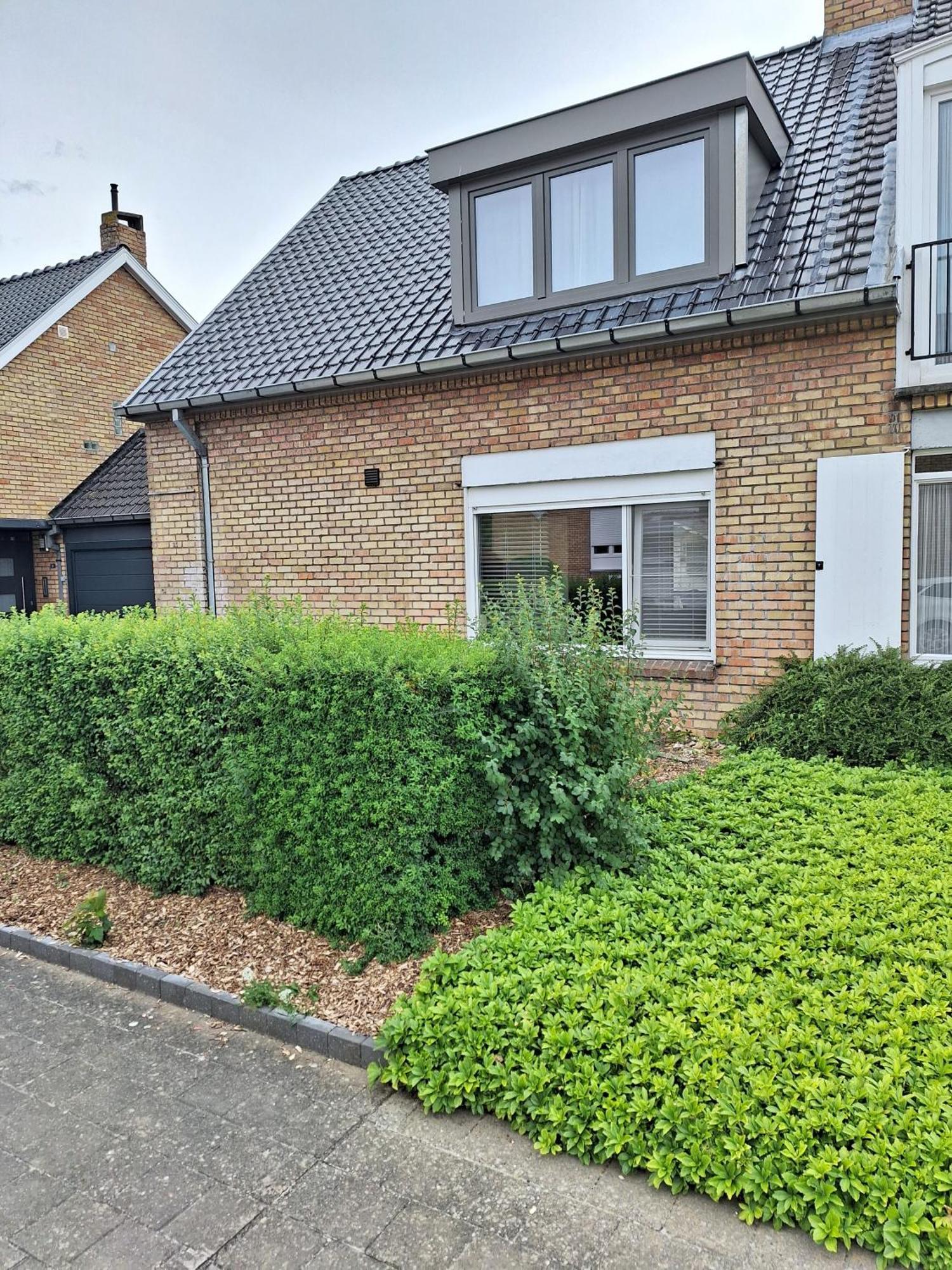 ブルージュ Our Lily House, Een Gezellig Familiehuis In Rustige Omgevingヴィラ エクステリア 写真